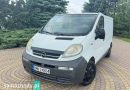Opel Vivaro (2006)